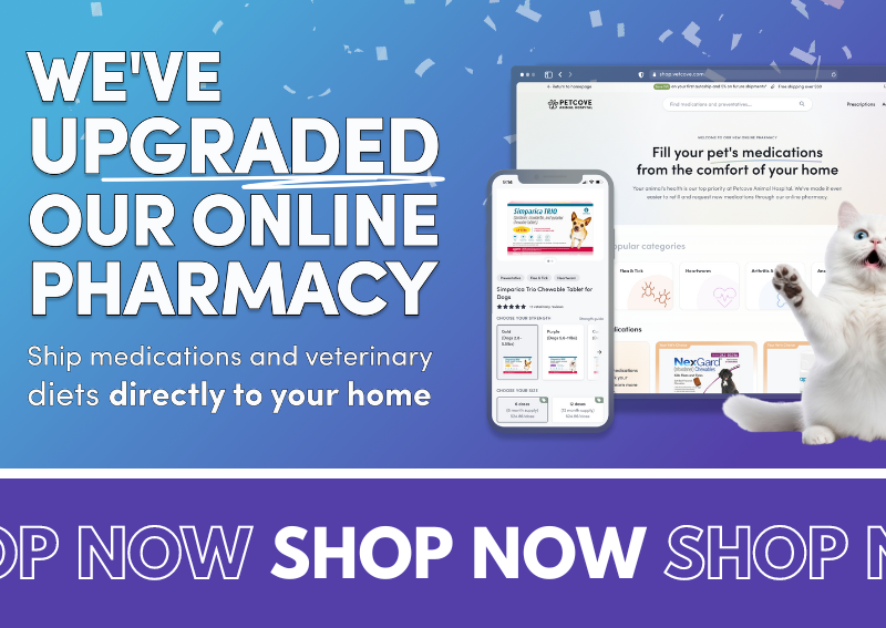 Carousel Slide 1: Online Pharmacy